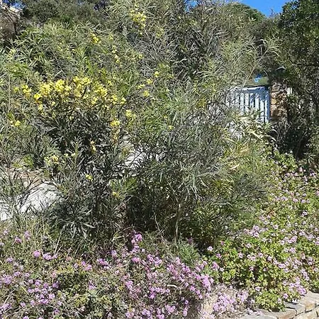 Merveille Βίλα Bormes-les-Mimosas
